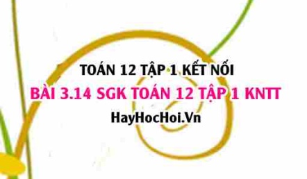 Bài 3.14 SGK Toán 12 tập 1 Kết nối tri thức